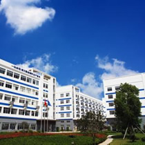 企業實力